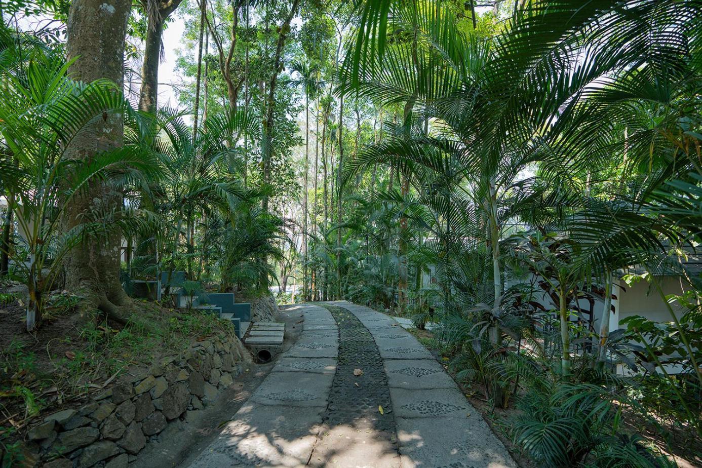 The Hive, Wayanad Hotel Екстериор снимка