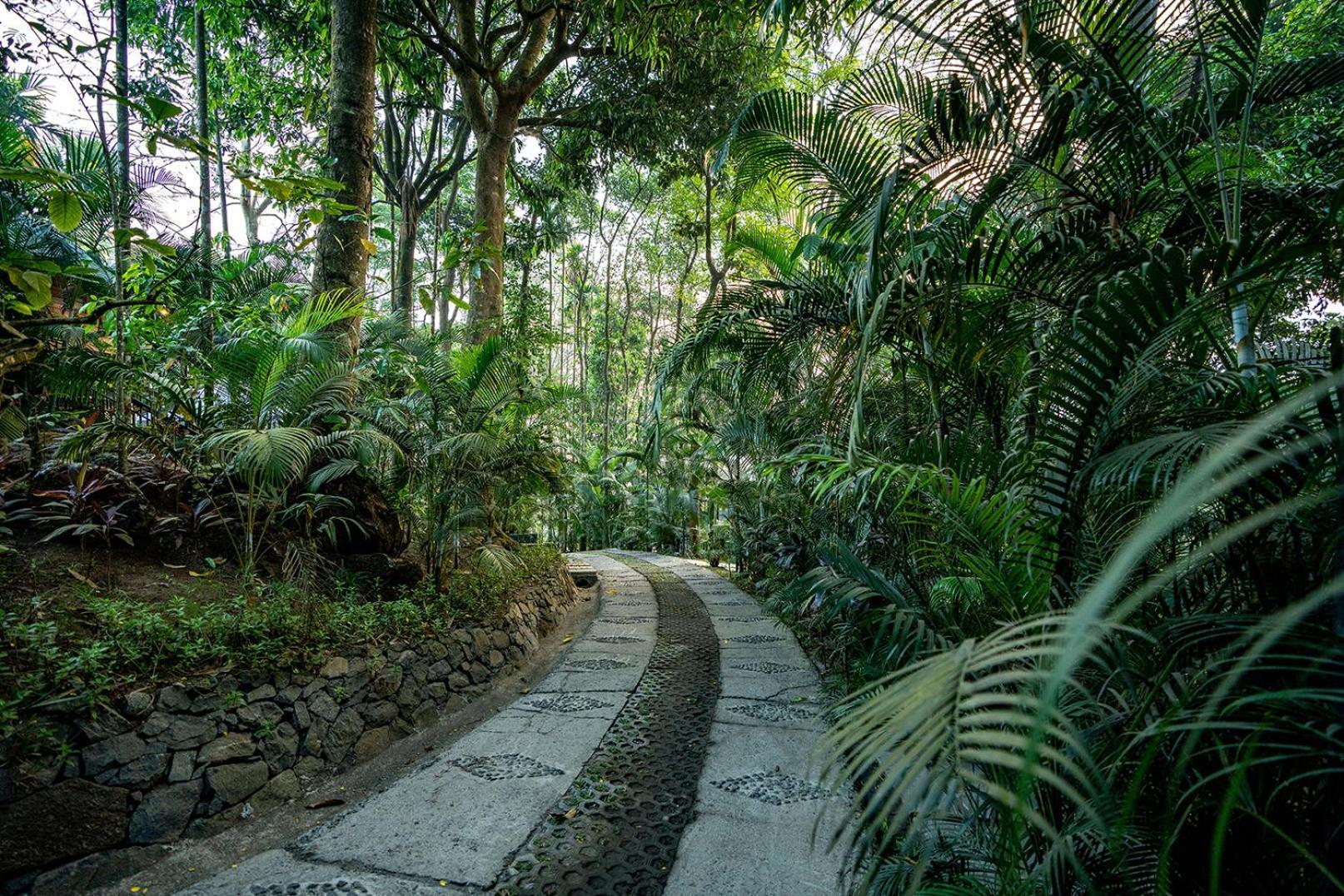 The Hive, Wayanad Hotel Екстериор снимка
