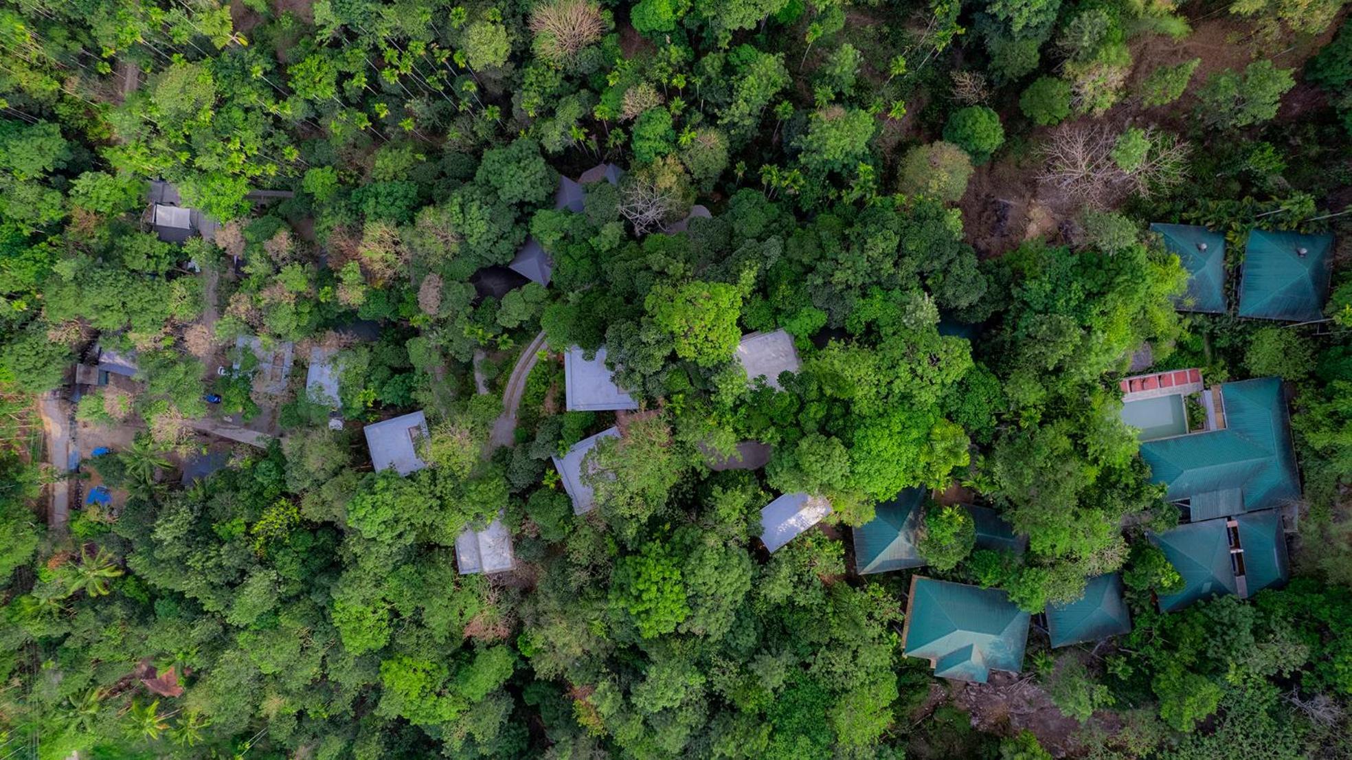 The Hive, Wayanad Hotel Екстериор снимка