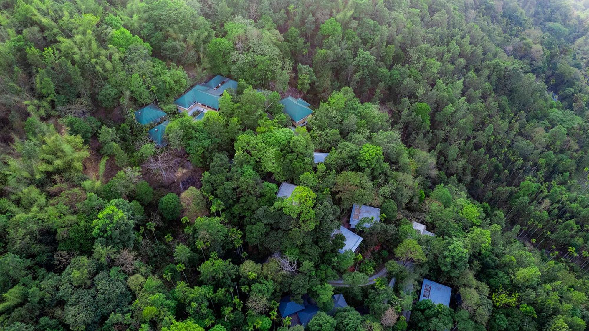 The Hive, Wayanad Hotel Екстериор снимка