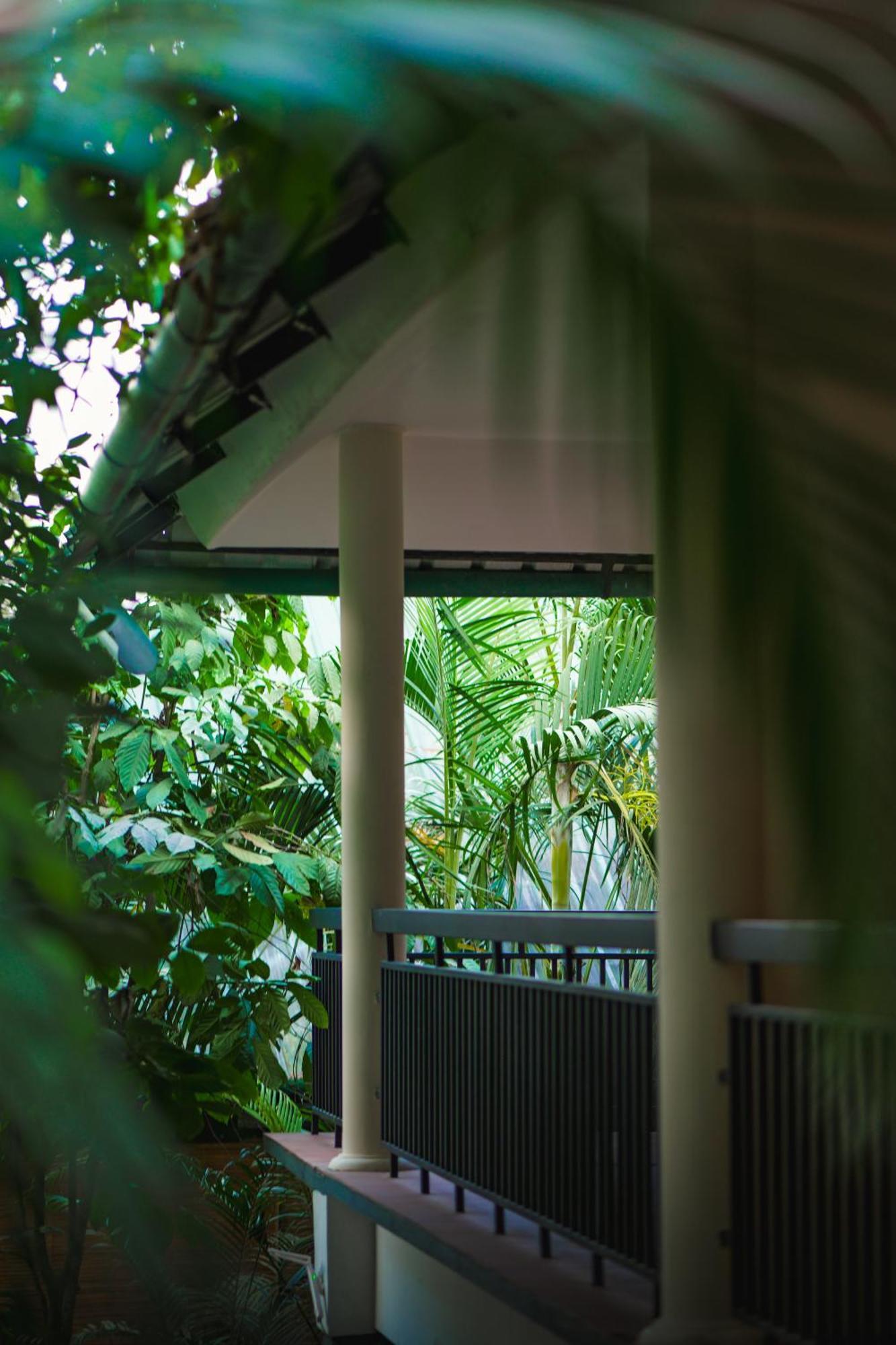 The Hive, Wayanad Hotel Екстериор снимка