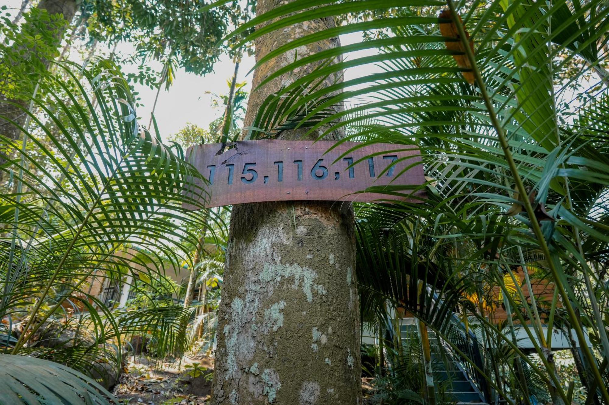 The Hive, Wayanad Hotel Екстериор снимка