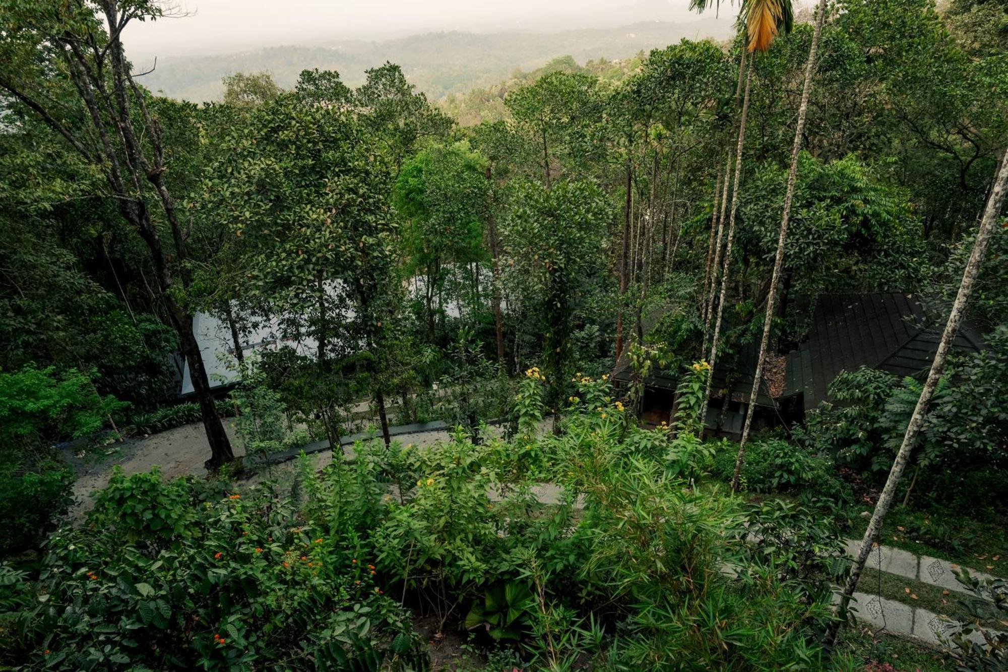 The Hive, Wayanad Hotel Екстериор снимка