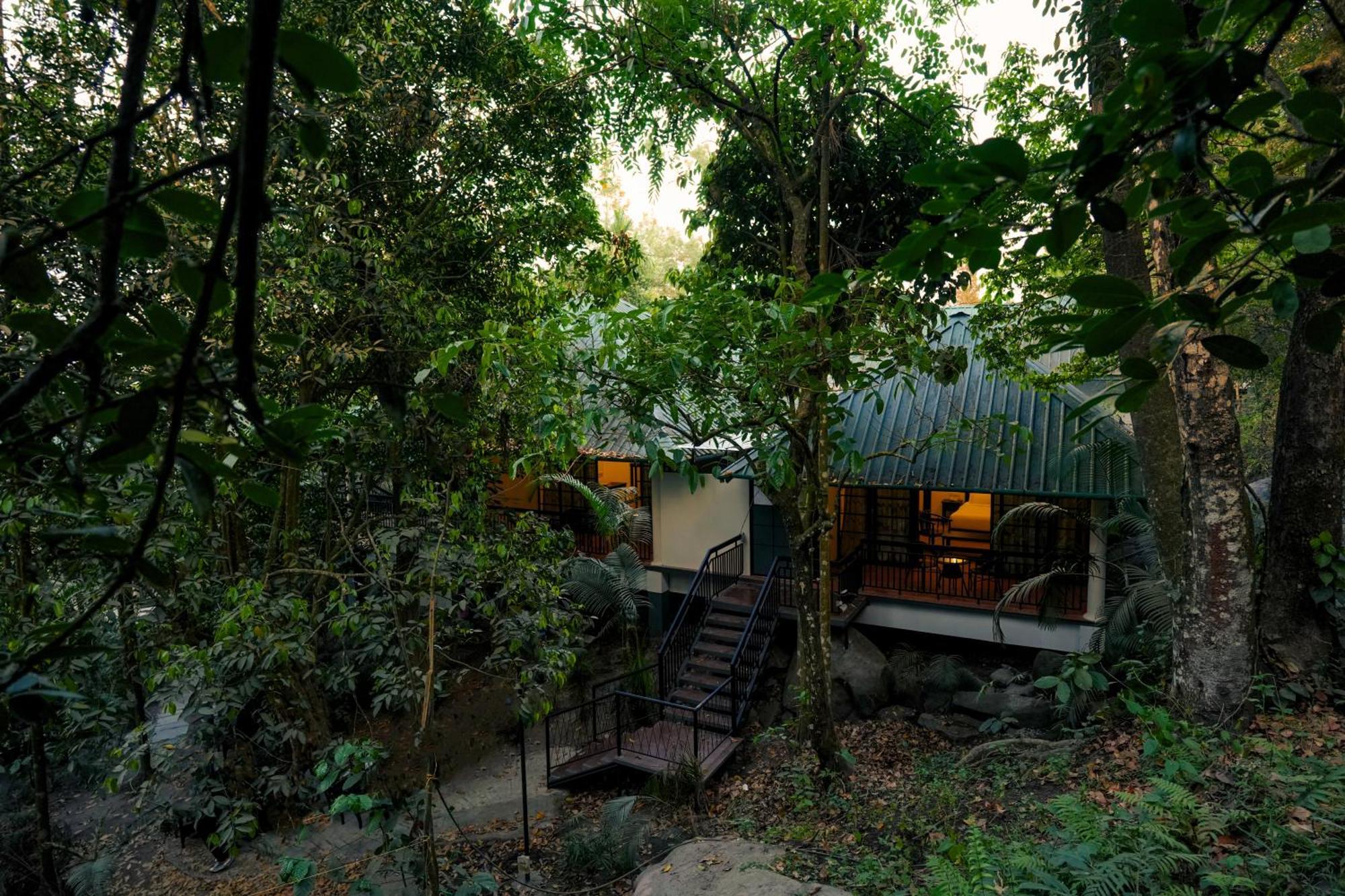 The Hive, Wayanad Hotel Екстериор снимка