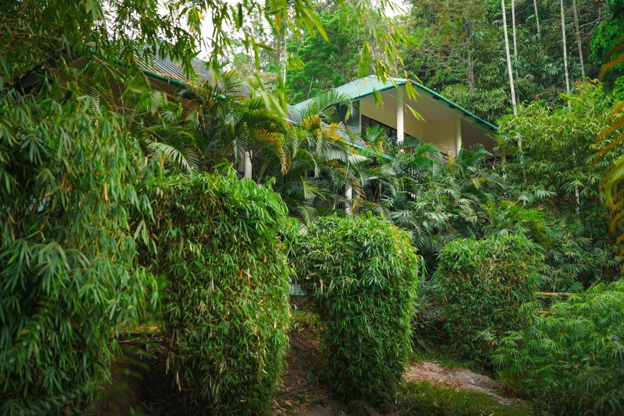 The Hive, Wayanad Hotel Екстериор снимка